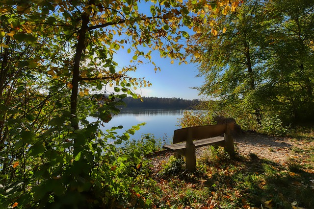 巴媒：西班牙人询问了罗比尼奥儿子小罗比尼奥，球员年底满18