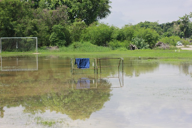 菲尔米诺：克洛普是我合作过的最佳教练；渴望再次入选国家队